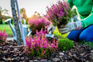 a person planting flowers